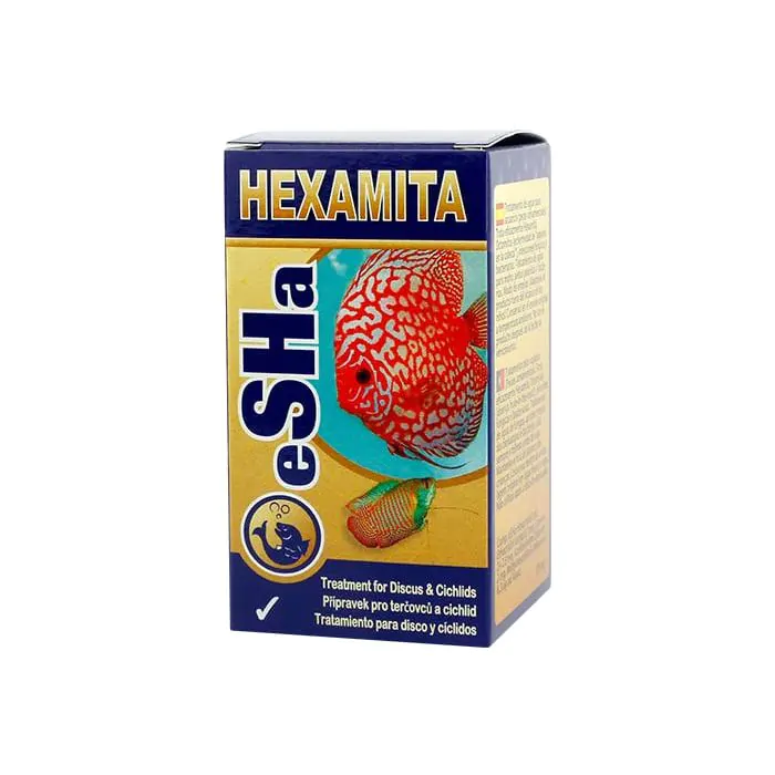 tienda857508