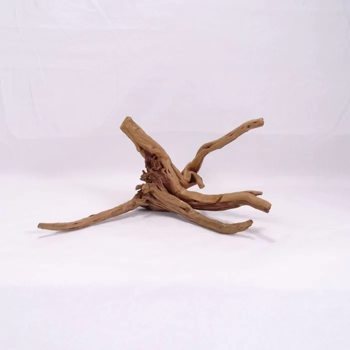 tienda860890