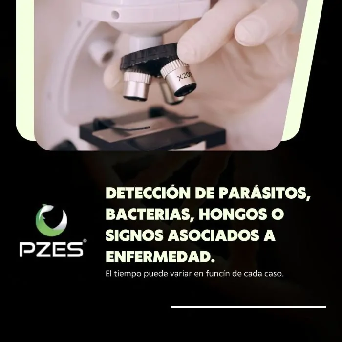 tienda860982