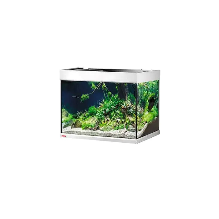 tienda862224