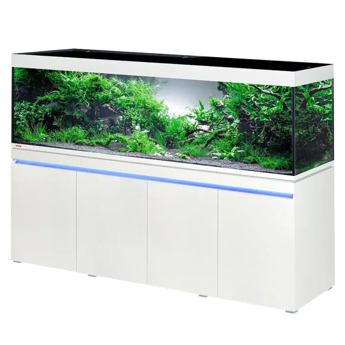 tienda862685