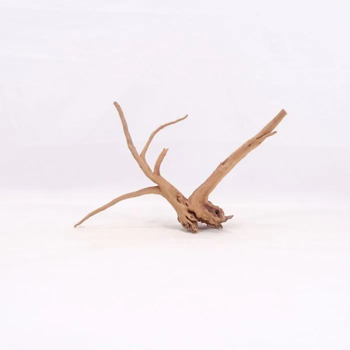 tienda863319