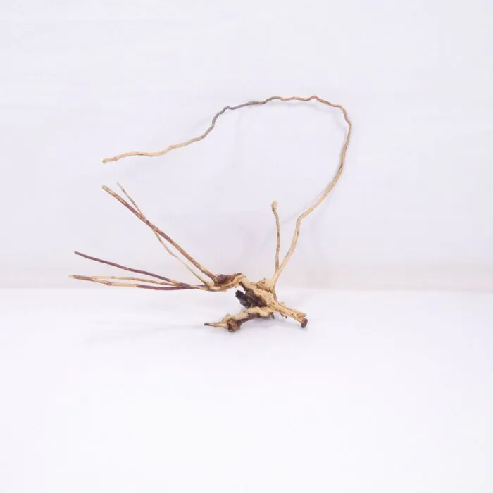 tienda864895
