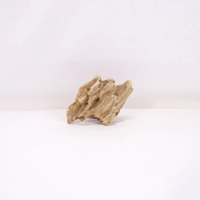 tienda869193