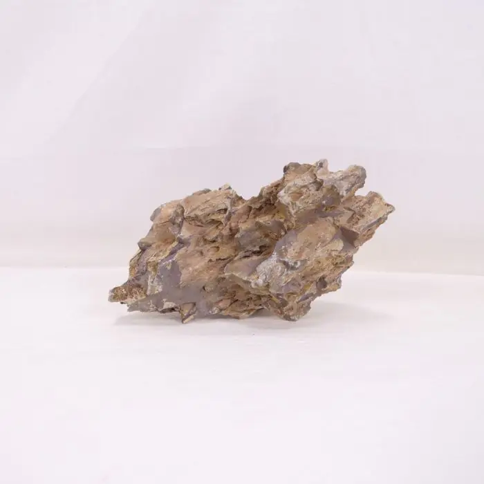 tienda869855