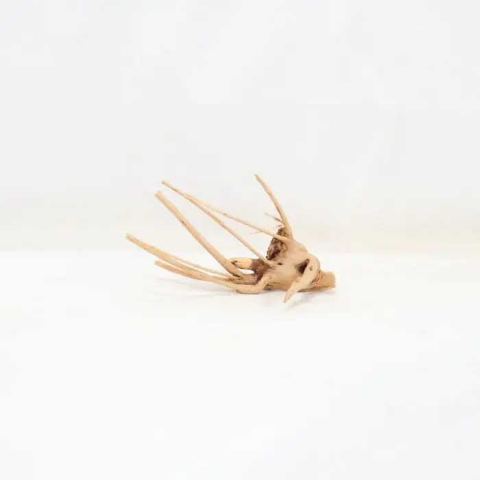 tienda872665