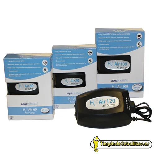 tiendadecaballitos190253