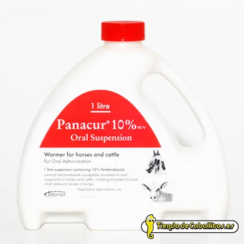 tiendadecaballitos190469