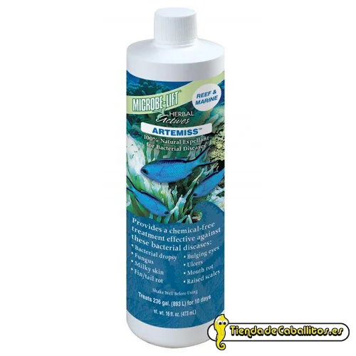 tiendadecaballitos190657