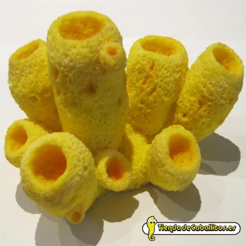 tiendadecaballitos190684