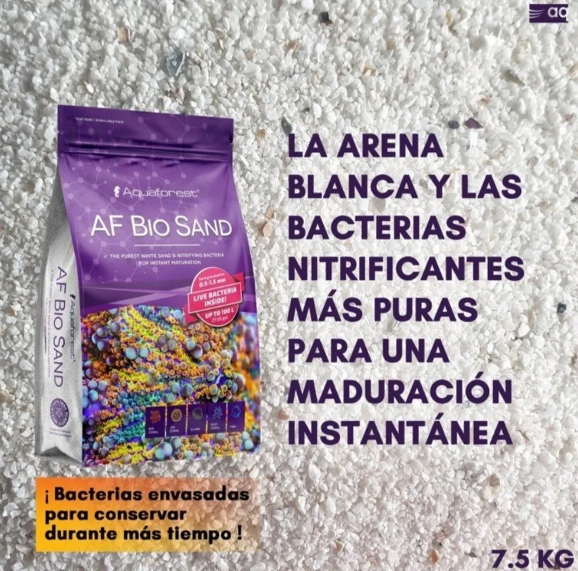 tiendadecaballitos191392